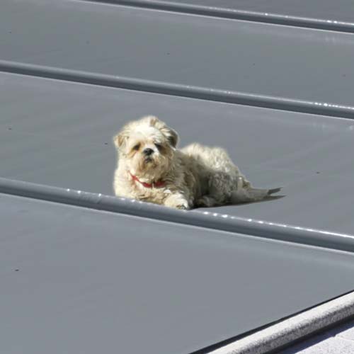 Sichere Poolabdeckung für Kinder und Haustiere – Robuste und tragfähige Poolabdeckung schützt zuverlässig vor Unfällen und hält das Wasser sauber.