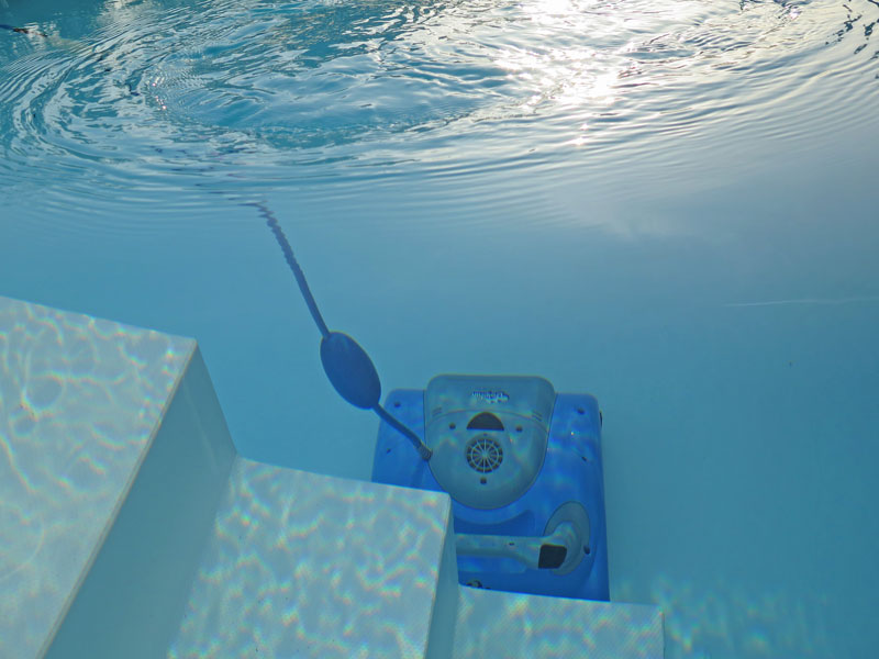 Effizienter blauer Poolroboter reinigt das Schwimmbecken gründlich und zuverlässig - eine zeitsparende Lösung für die Poolpflege.