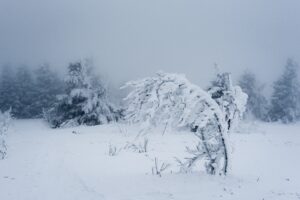 Winterlandschaft mit starkem Schneefall – Natur unter einer dichten Schneedecke.