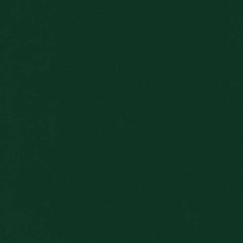 Dunkelgrüne Poolfolie für eine natürliche Wasseroptik und harmonische Integration in den Garten.